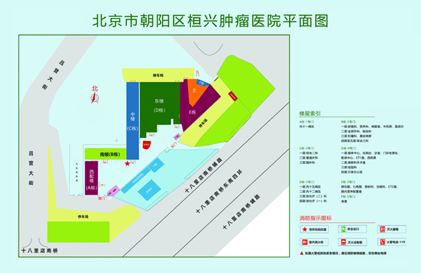 啊啊啊大鸡吧视频北京市朝阳区桓兴肿瘤医院平面图